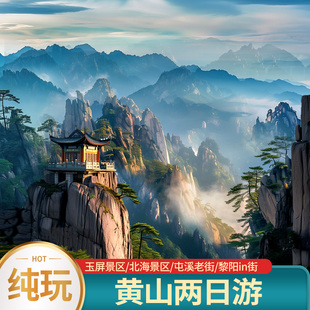 黄山旅游2天1晚纯玩跟团游16人小团屯溪老街黎阳IN街住宿山顶