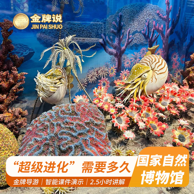 国家自然博物馆一日游
