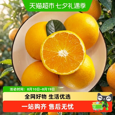 七公主果园脐橙