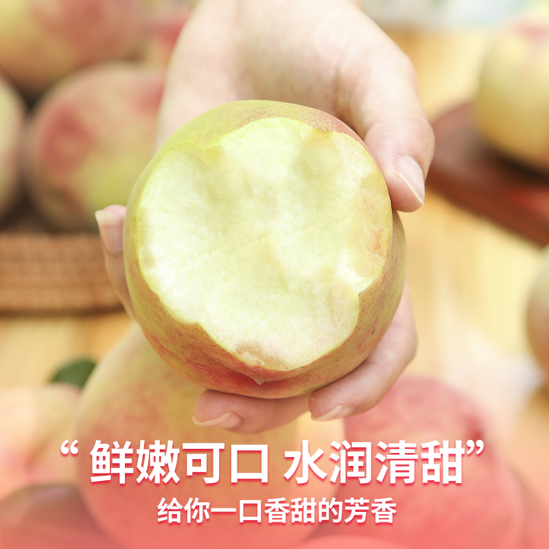 脆甜毛桃水果新鲜当季整箱包邮应季现摘时令桃子