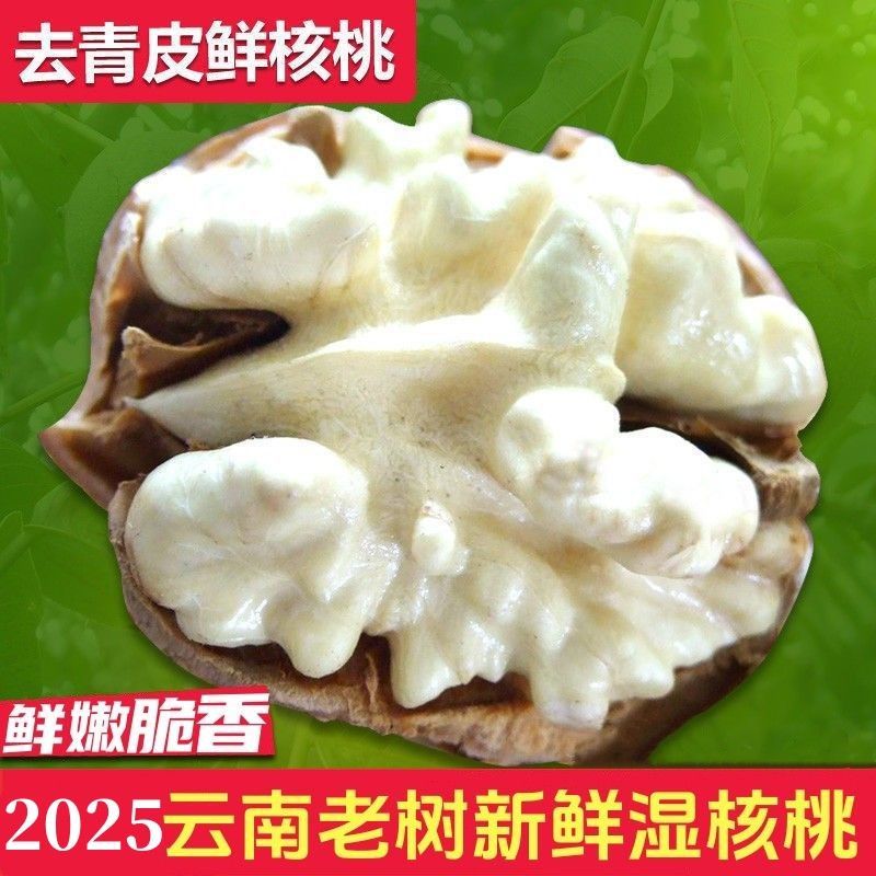 2025现货云南新鲜湿核桃大果去绿皮鲜核桃嫩核桃鲜核桃薄壳核桃