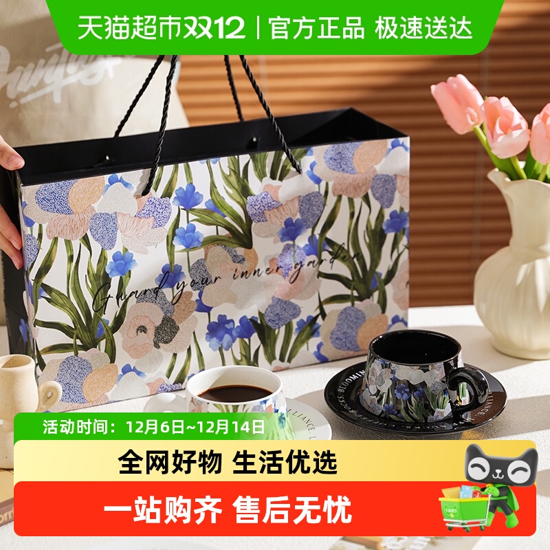 舍里高级感鸢尾花咖啡杯碟礼盒装