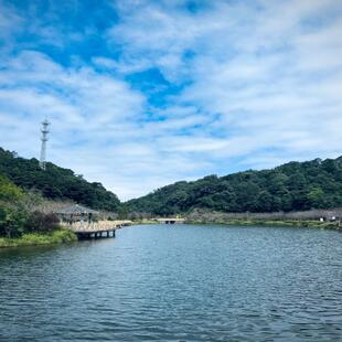 [五指山景区-大门票]从化五指山景区【成人票】门票（当天可订）