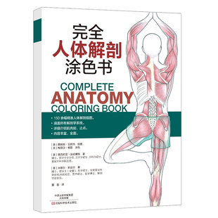 完全人体解剖涂色书 素描基础教程彩铅绘画手绘入门完全人体解剖图谱秘密花园伯里曼艺用人体结构教学工具临床医学解剖学教程书籍