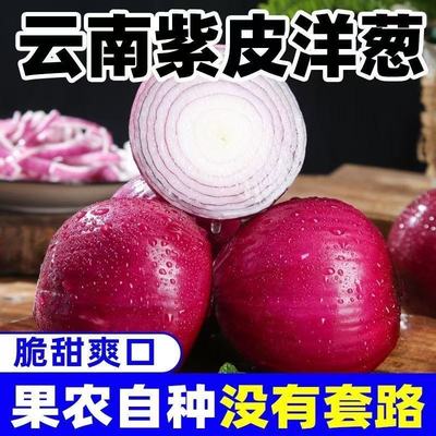 新鲜现挖  当季紫皮红洋葱深紫色生吃水果洋葱圆葱蔬菜批发包邮