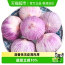 云南大理紫皮蒜独头蒜一级果新鲜蔬菜新蒜糖醋蒜大蒜头