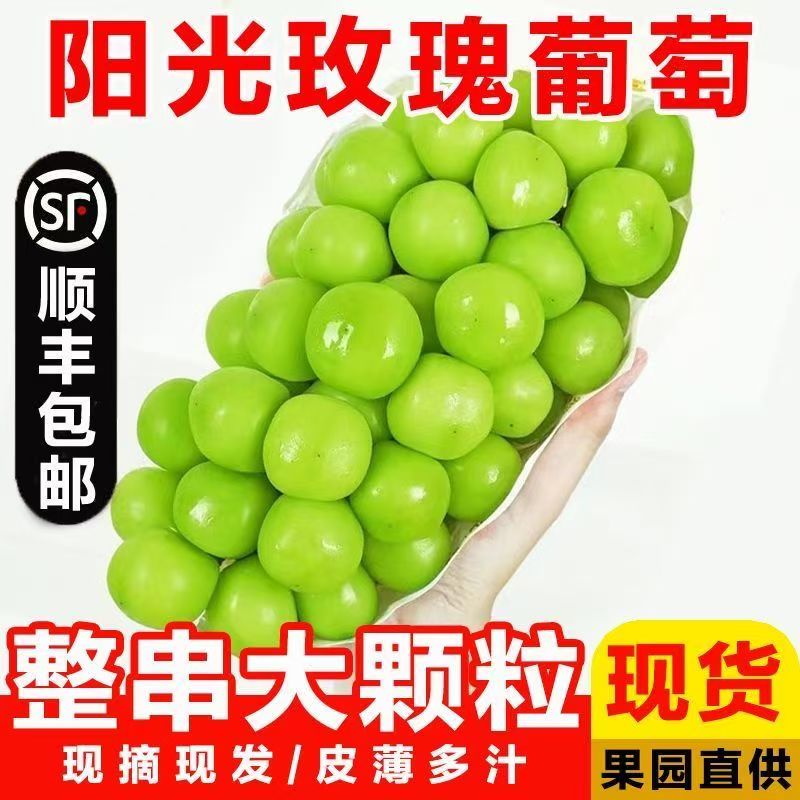 大凉山阳光玫瑰新鲜5斤晴王葡萄无籽香印提子青提当季整箱顺丰