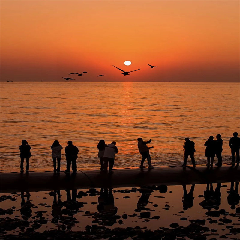 元旦 天津跨年•东疆港日出迎2026年曙光西伯利亚海鸥1.5日跟团游