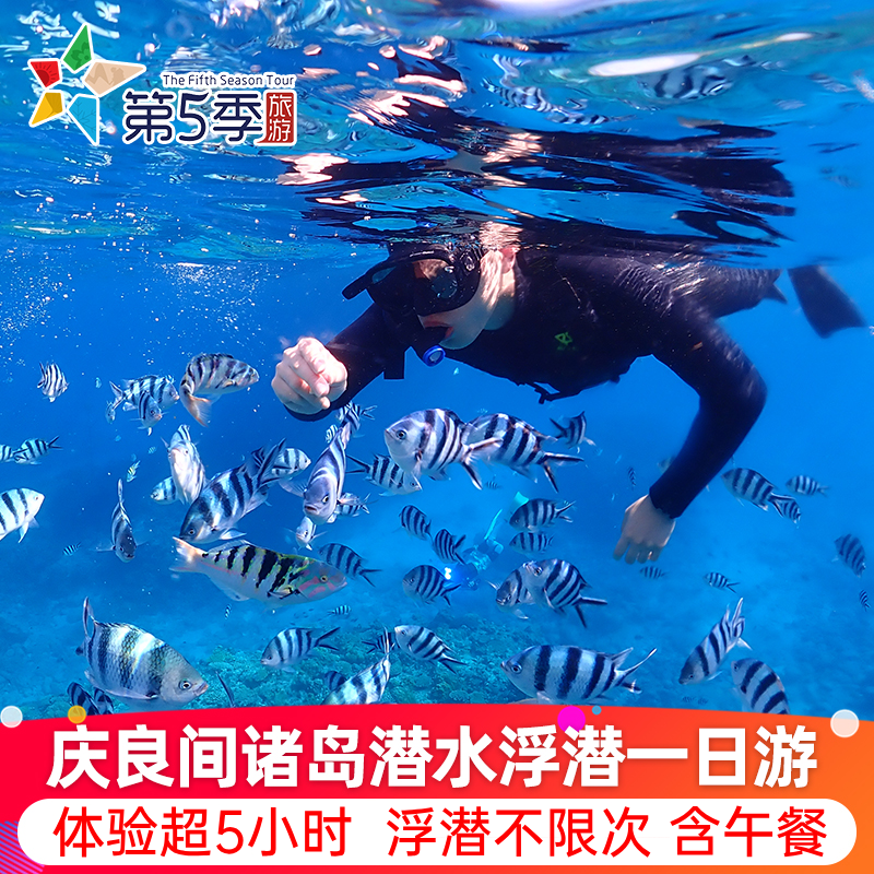 【全程中文】日本冲绳旅游 庆良间潜水浮潜深潜一日游 含市区接送