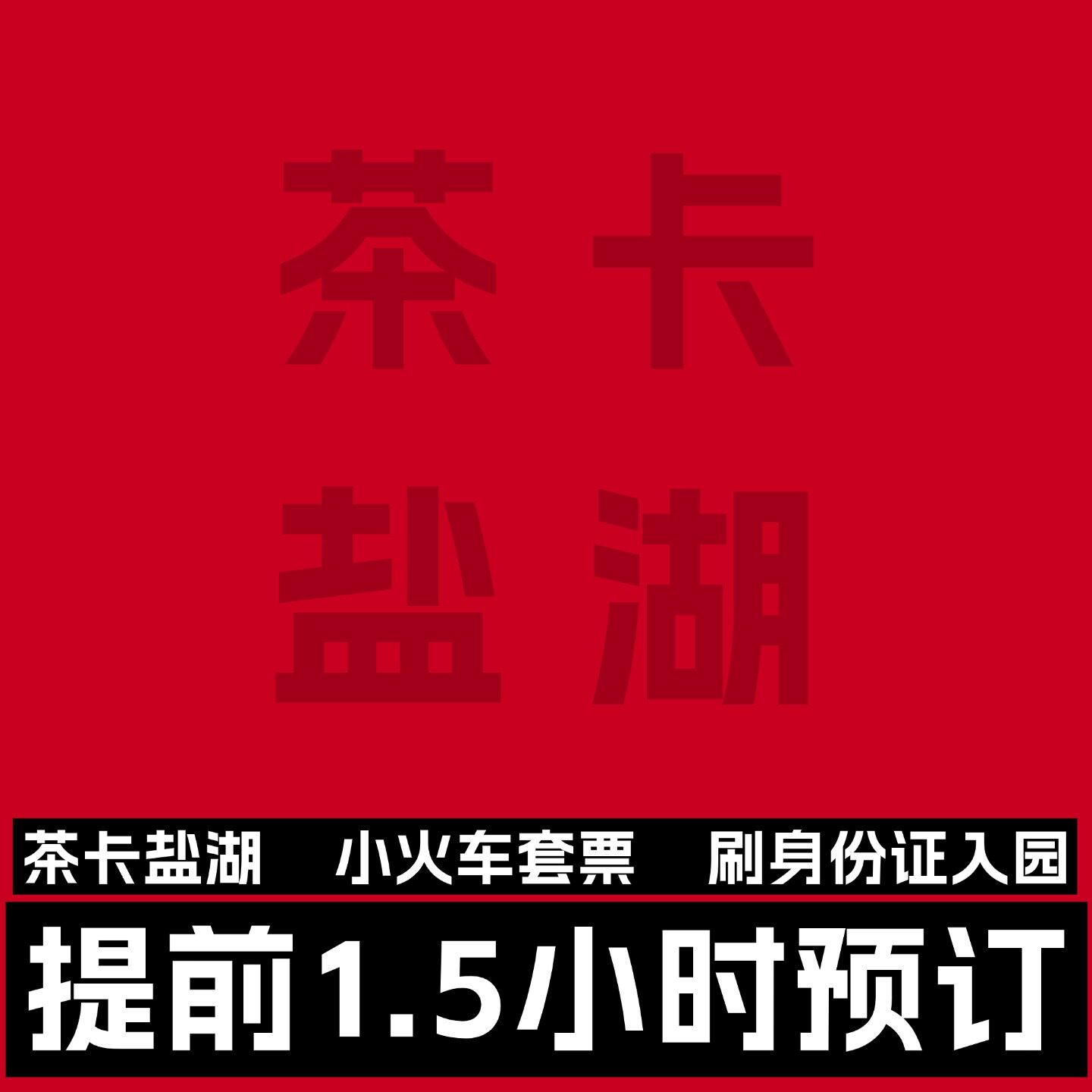 [茶卡盐湖景区-门票+往返小火车+单程电瓶车+下湖鞋套+大青盐+盐文化馆]门票+往返小火车+单程电瓶车