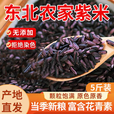 新米紫米云南墨江紫糯米黑糯粽子米饭团材料正宗500g杂粮米血糯米