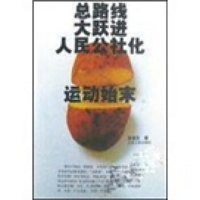 总路线 大跃进 人民公社化运动始末(正版收藏品)宋连生 著云南人民出版社9787222032903