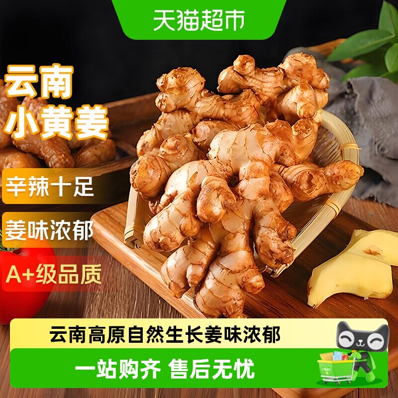 云南小黄姜红河新鲜生姜老姜现挖高山沙姜土姜种子蔬菜 - 实物图
