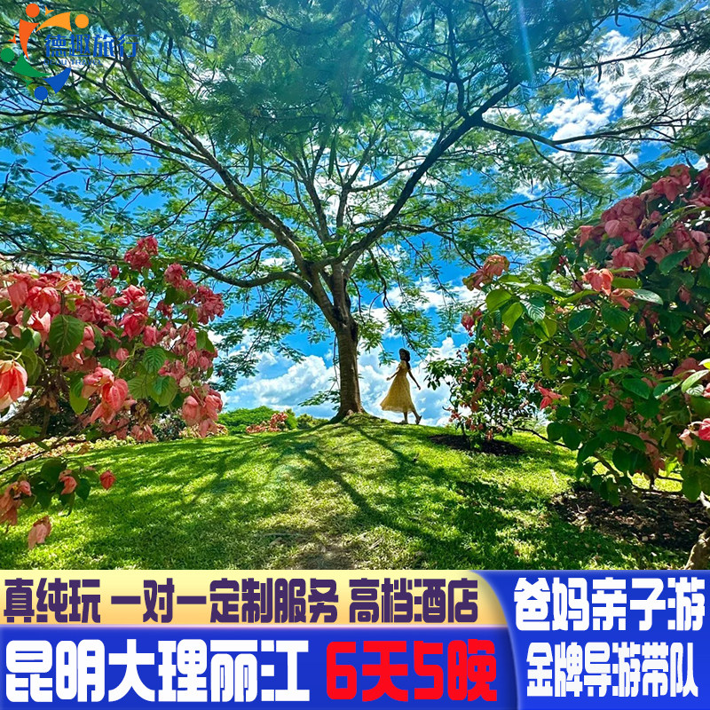 云南大理丽江5天4晚