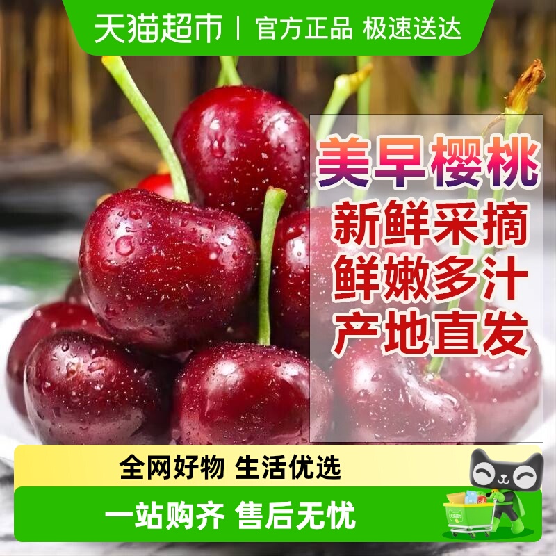 仙绘鲜大连美早樱桃