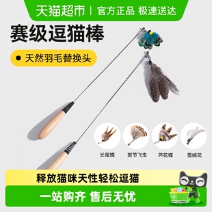CFA赛级逗猫棒猫咪玩具小飞虫羽毛替换头幼猫用品自嗨解闷耐抓咬