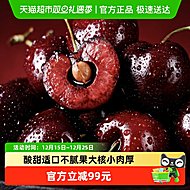 智利进口新鲜3J车厘子5斤