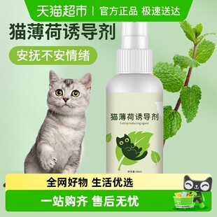 猫薄荷喷雾喷剂喵喵快乐水液体逗猫棒猫玩具自嗨解闷猫咪用品大全
