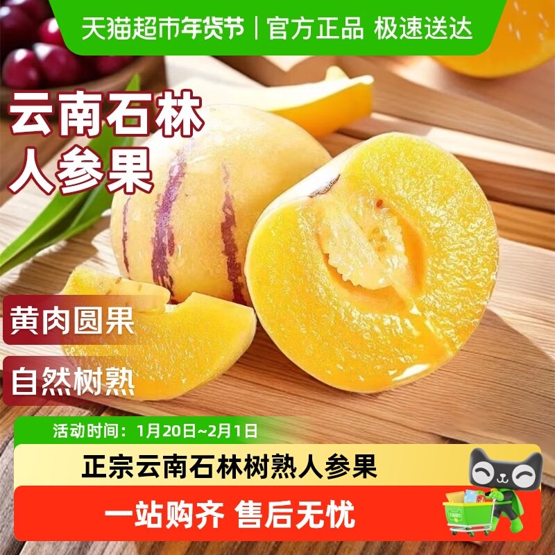 云南石林人参果树上熟鲜果新鲜人参果七彩黄肉圆果人生果整箱,水产肉类/新鲜蔬果/熟食,人参果,淘宝优惠券,粉丝福利购,淘宝优惠卷