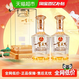 五粮液股份出品 一尊天下盛世佳品 52度浓香型白酒 500ml*2瓶
