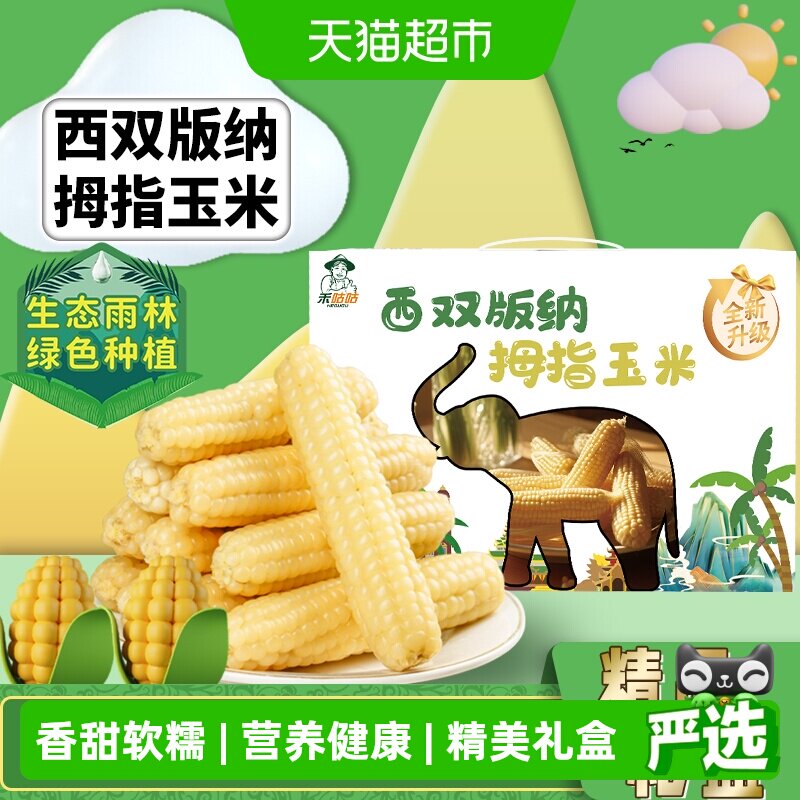 禾咕咕西双版纳拇指小糯玉米白糯玉米1kg礼盒装年货玉米儿童玉米