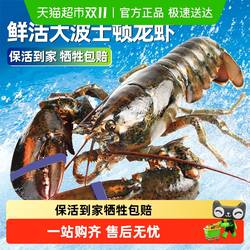 【保活】龙虾鲜活波士顿大龙虾加拿大龙虾特大波龙大澳龙海鲜小龙