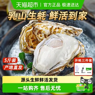 鲜活乳山牡蛎乳山生蚝威海海鲜生鲜海蛎子贝类水产源头烧烤食材