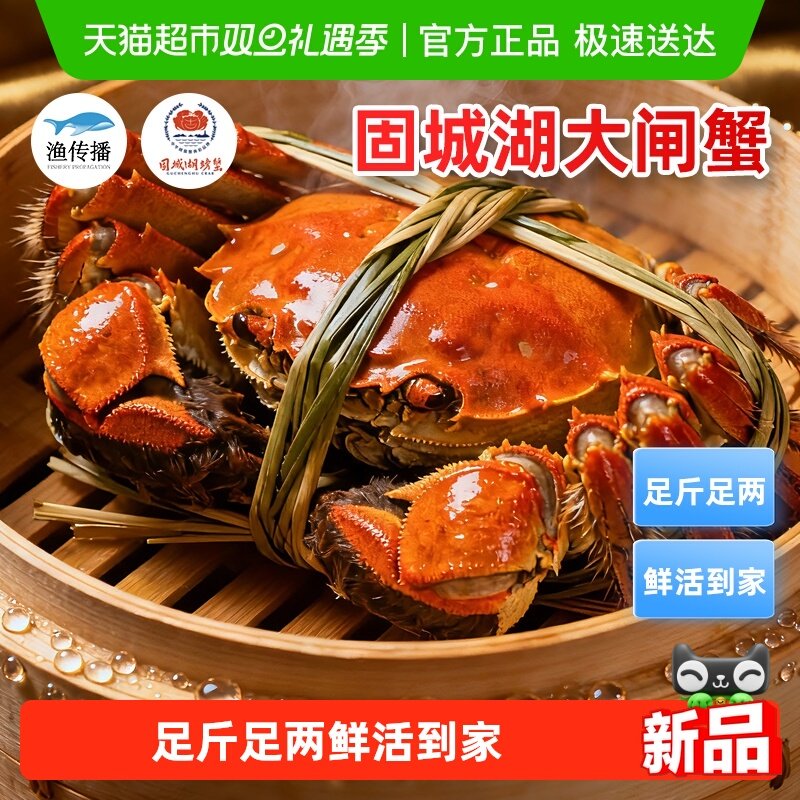 渔传播固城湖礼盒大闸蟹母蟹