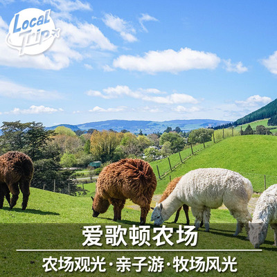 爱歌顿农场观光体验