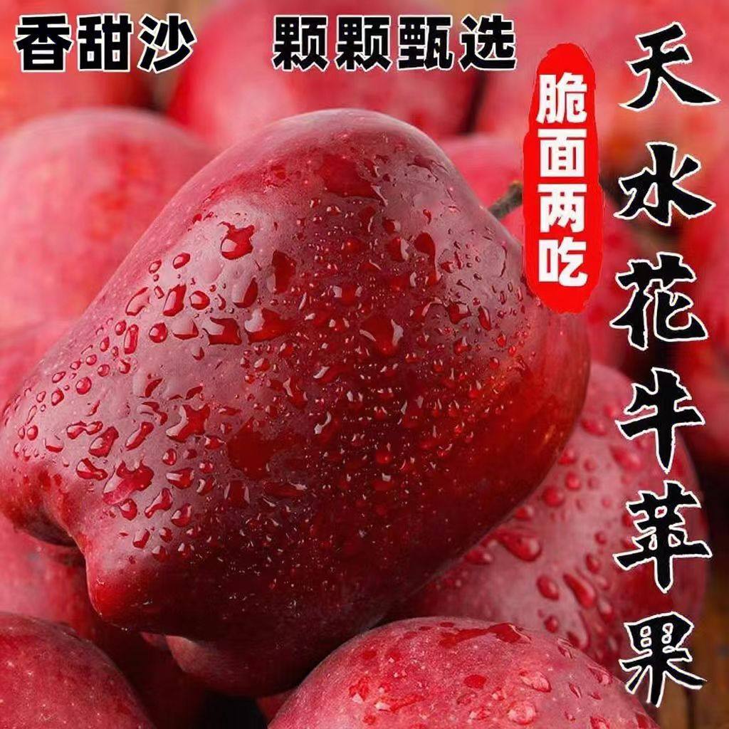 甘肃天水花牛苹果新鲜水果孕妇老人小孩当季整箱包邮红蛇粉面平安,水产肉类/新鲜蔬果/熟食,苹果,淘宝优惠券,粉丝福利购,淘宝优惠卷