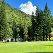 大梅沙 甘坑古镇 莲花山公园 仙湖植物园