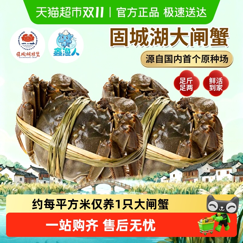 鑫渔人固城湖大闸蟹全母精品蟹
