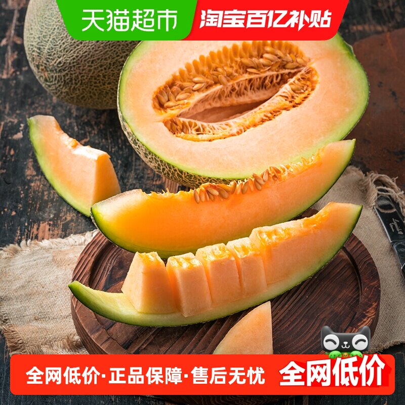 晓蜜哈密瓜 瓜肉肥厚 清脆香甜多汁新鲜水果顺丰包邮