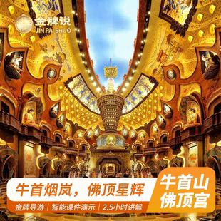 金牌说●南京牛首山佛顶宫2.5H金牌导游讲解大咖解说亲子小包团