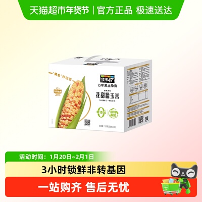 北纬47°糯玉米200g×10根
