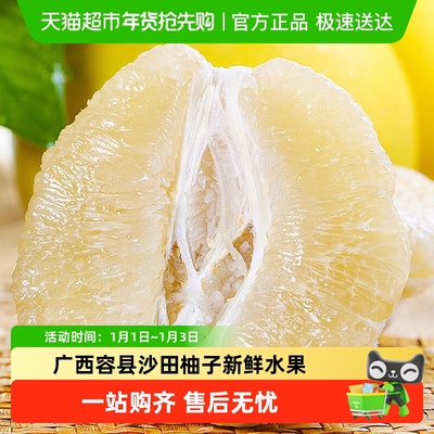 胡鲜森食品广西容县沙田柚子