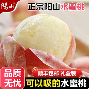 正宗無錫陽山水蜜桃新鮮水果桃子禮盒裝