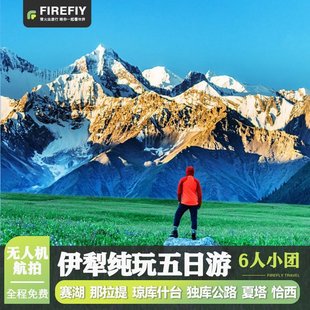 无人机 新疆旅游伊犁5天4晚那拉提恰西夏塔赛湖纯玩五日游 大七座