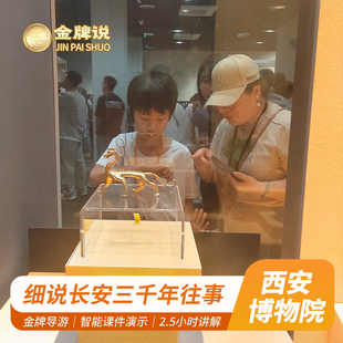 金牌说●西安博物院讲解2.5H金牌导游小雁塔讲解大咖解说12人小团