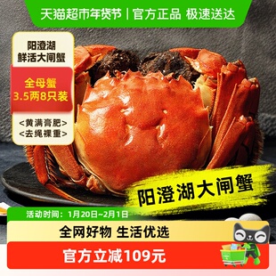 【活蟹】澄方圆阳澄湖大闸蟹鲜活特大螃蟹全母3.5两8只礼盒装
