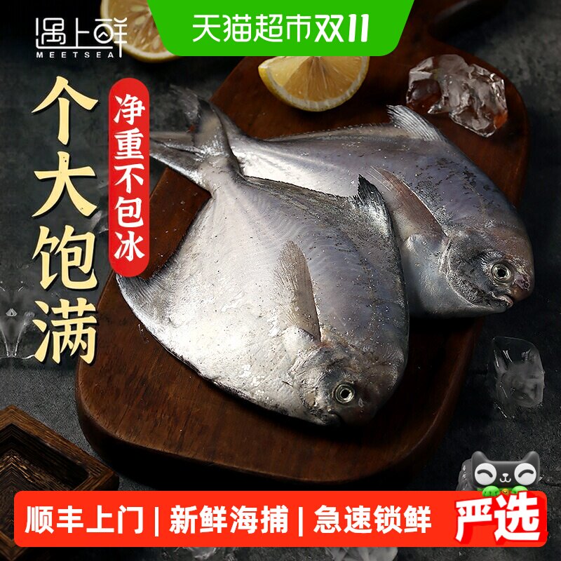 顺丰上门遇上鲜银鲳鱼新鲜冷冻舟山海鲜昌扁鱼鲜活速冻水产平鱼大