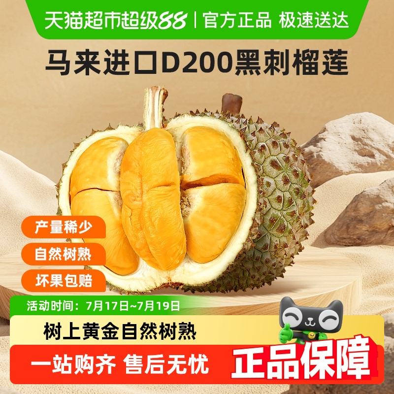 市舶士D200黑刺榴莲榴莲天花板