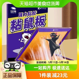 科凌虫控老鼠贴超强力粘鼠板抓灭鼠捕鼠神器正品 家用一窝端10张装