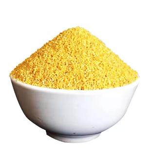 新鲜黄小米陕北延安特产延安农家黄小米煮粥有米油粘稠香谷米