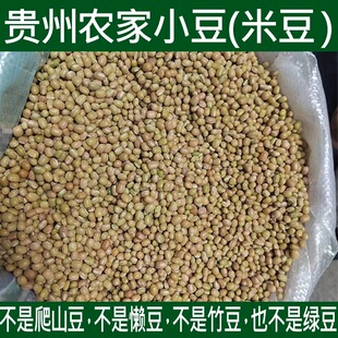 2025贵州特产高原米豆农家肥自种小豆子酸菜小豆豆米酸菜豆米