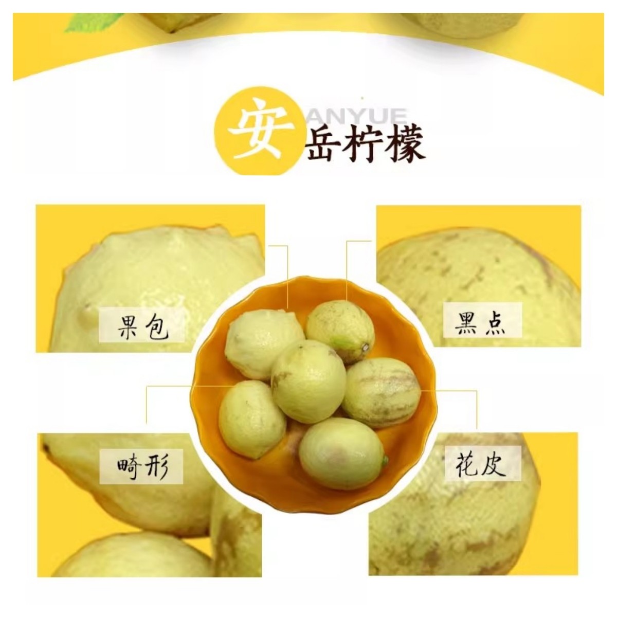 花皮瑕疵黄柠檬   新鲜三级丑柠檬瑕疵鲜水果榨汁酵素专用生态果