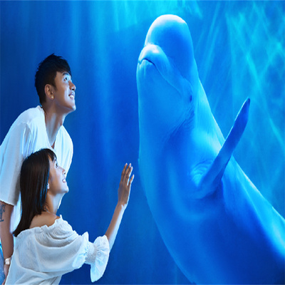 福州永泰欧乐堡双人票