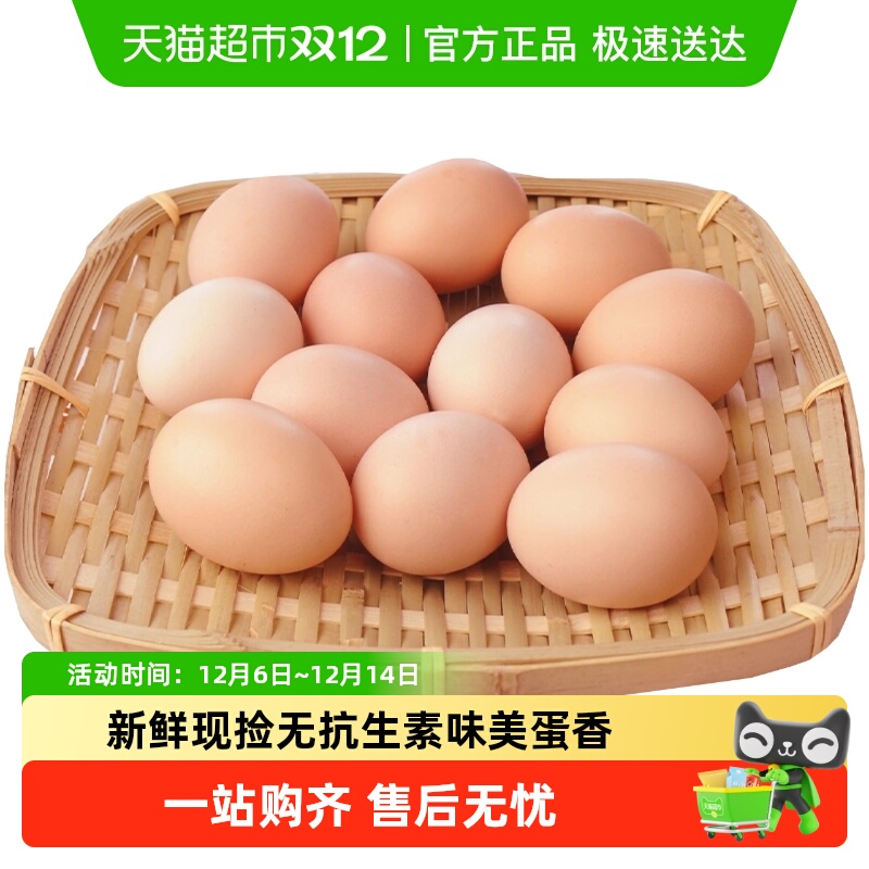 寻鲜鸟新鲜鲜鸡蛋45g×20个20枚