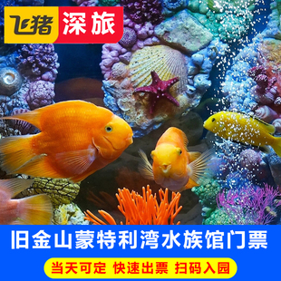 美国旧金山蒙特雷湾水族馆蒙特利水族馆门票Monterey 门票 Bay 蒙特利湾水族馆