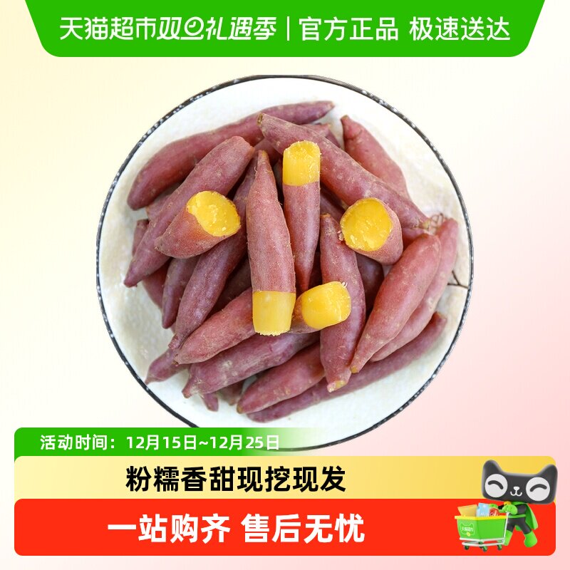 薯小萌天目山小香薯小果